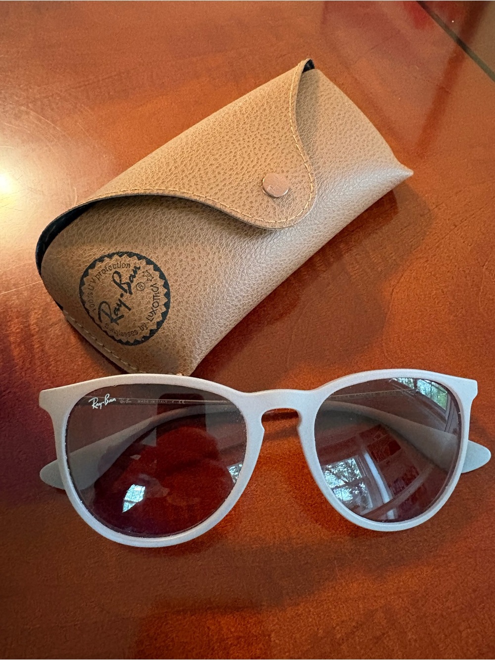 Ray-Ban Erika Frame Sunglasses with Tan Case